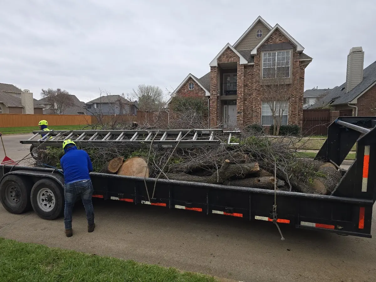Expert Tree Fertilization with proper safety equipment in Needville